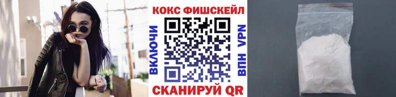 закладки  Ревда  Cocaine Fish Scale 