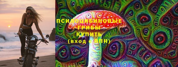 круглые Алзамай