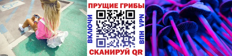Галлюциногенные грибы мицелий  Ревда 