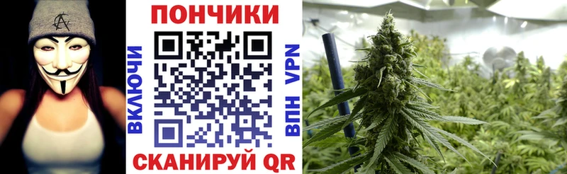 Бошки Шишки LSD WEED  MEGA ONION  Ревда 